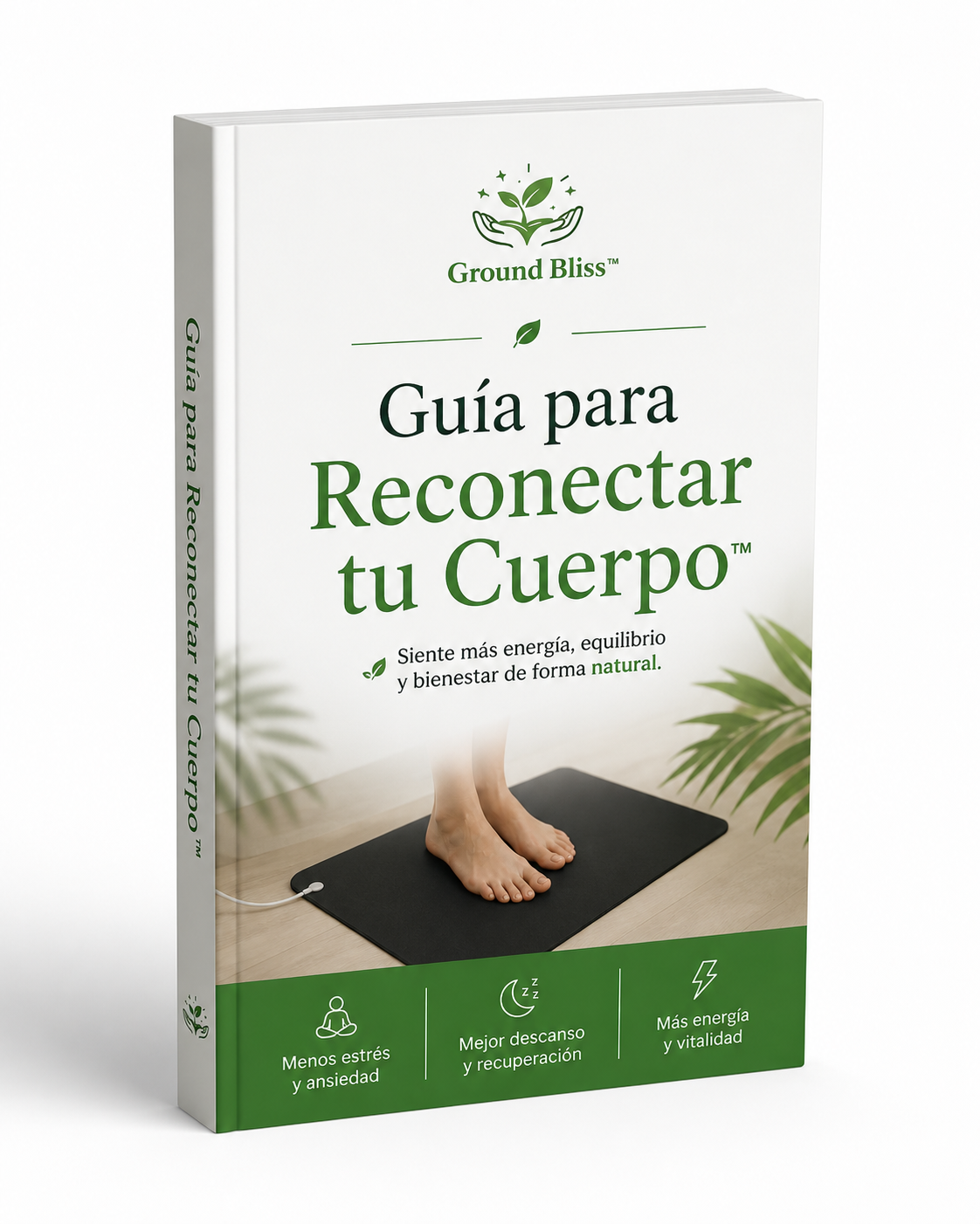 Guía: Reconecta tu Cuerpo